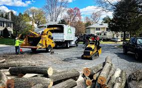 Best Commercial Tree Services  in Ettrick, VA