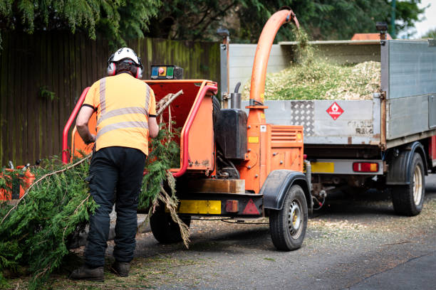 Best Lawn Watering Services  in Ettrick, VA