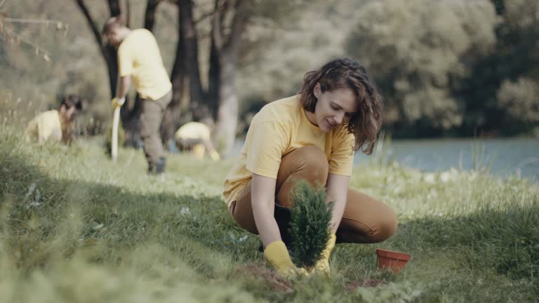 Best Lawn Maintenance Plans  in Ettrick, VA